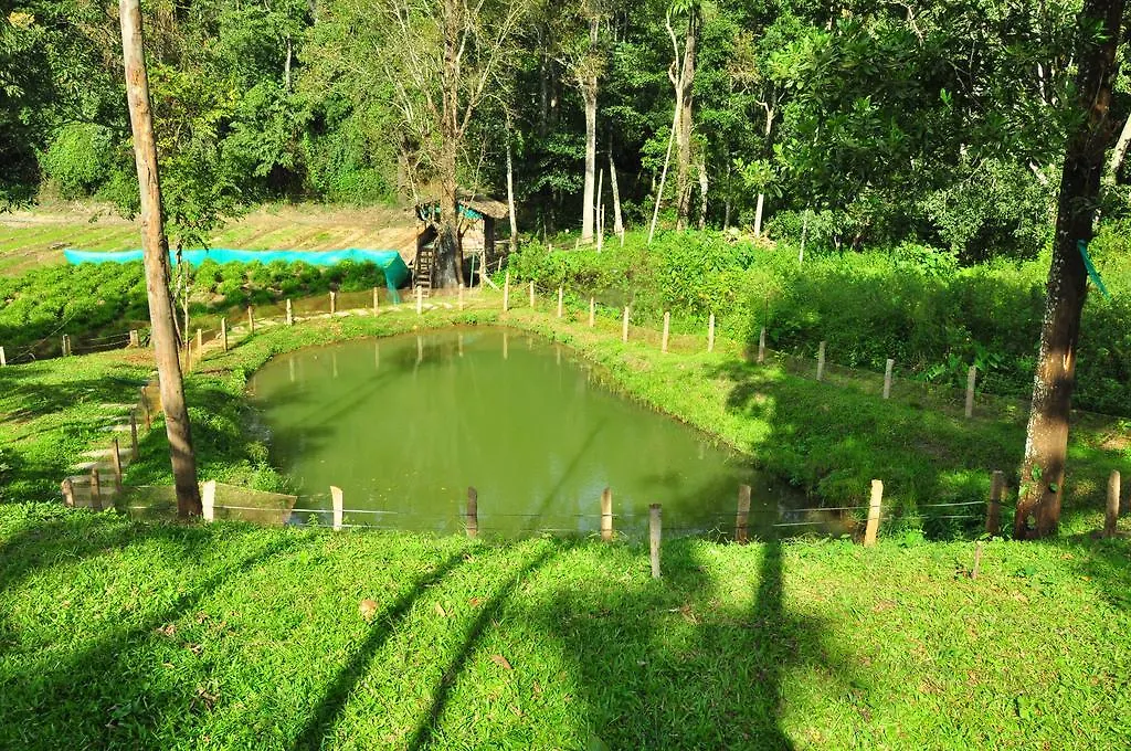 The Woods Resorts Wayanad Салтэн-Батери