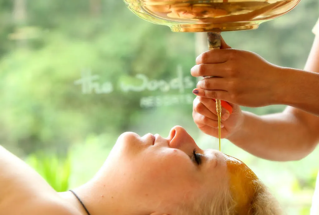 The Woods Resorts Wayanad Салтэн-Батери