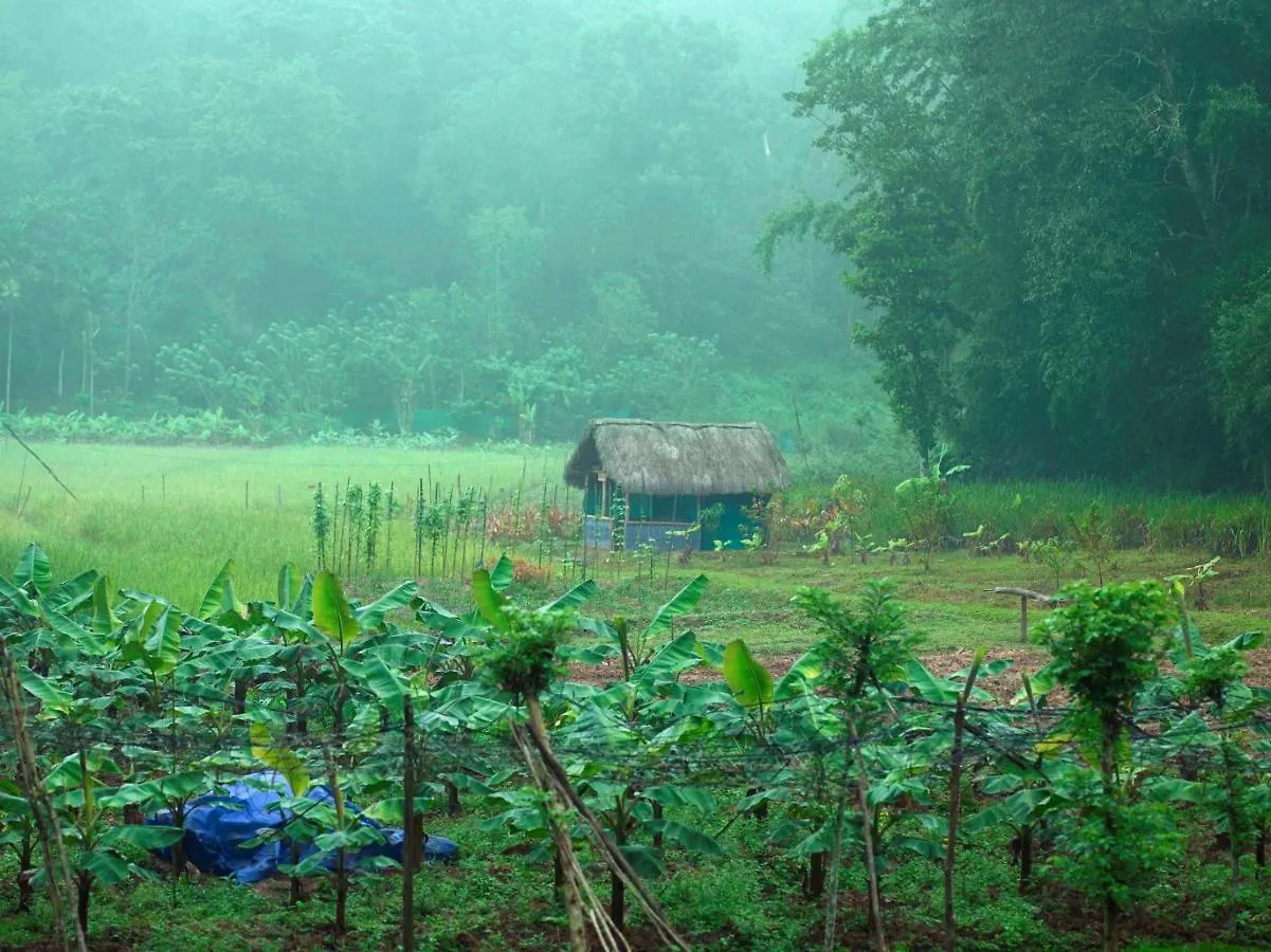 The Woods Resorts Wayanad Салтэн-Батери Индия