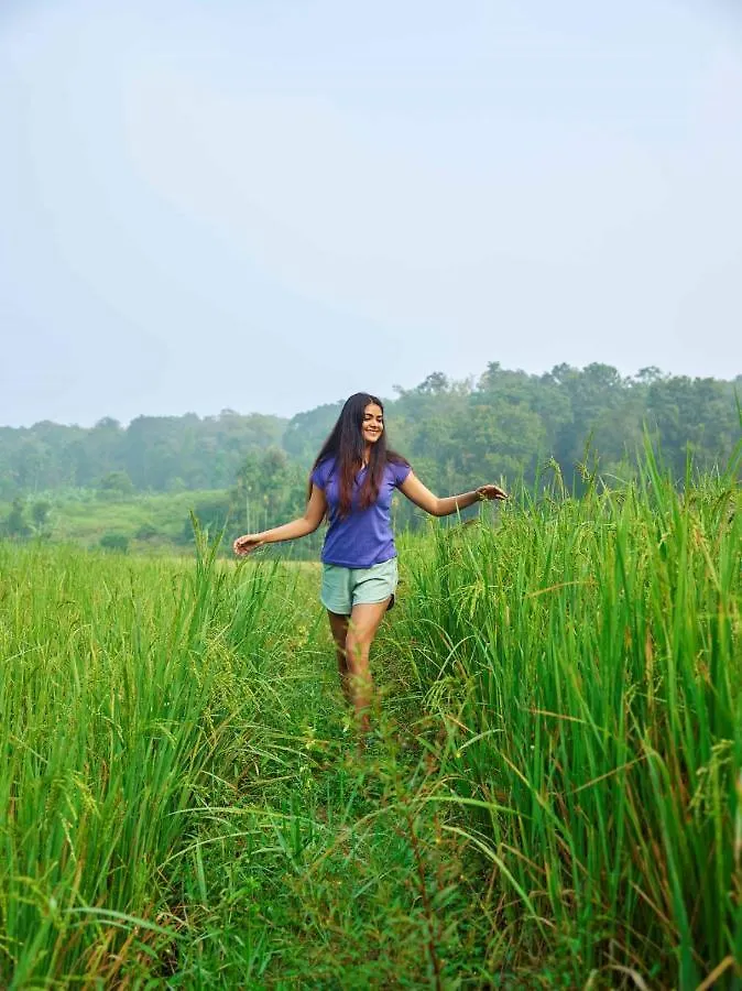 The Woods Resorts Wayanad Салтэн-Батери Индия
