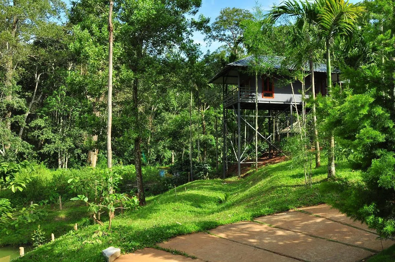 The Woods Resorts Wayanad Салтэн-Батери
