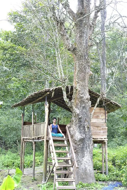 The Woods Resorts Wayanad Салтэн-Батери